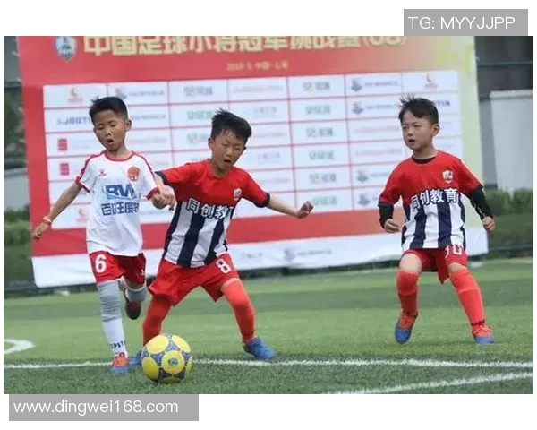 北京足球队在挑战赛中的实力分析与表现评估