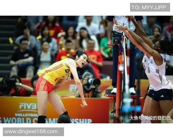 广州排球队的蜕变与成长：一段排球精神的真实纪实之旅