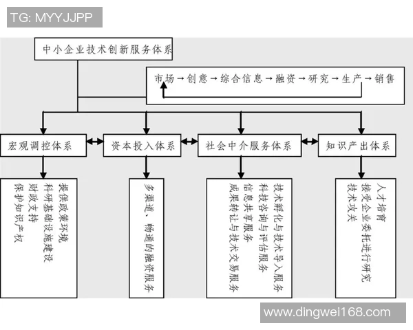 重庆排球队的进攻体系解析与排球战术创新探讨