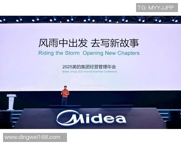 南京排球队运营揭秘：深度解析背后的管理与发展策略